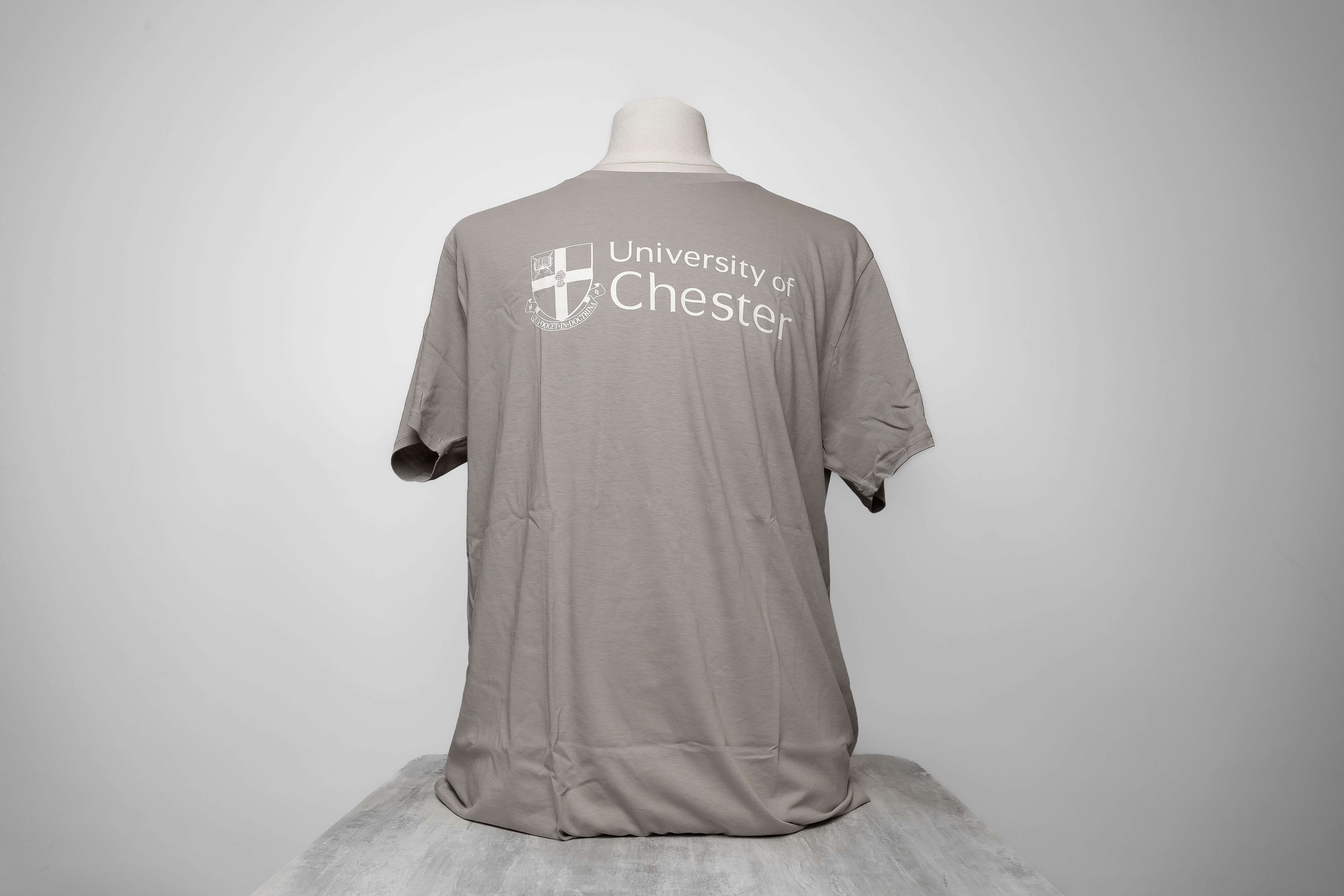 Stanley Stella t-shirt - Opal Grey - Small